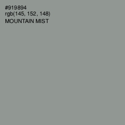 #919894 - Mountain Mist Color Image
